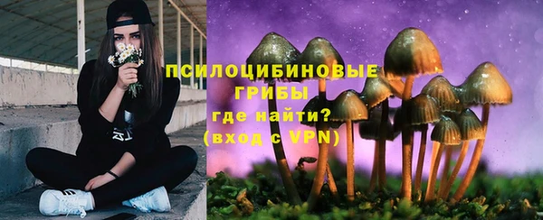 соль ск Армянск