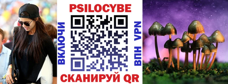 Купить где  Долинск  Галлюциногенные грибы Psilocybine cubensis 